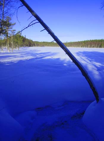 Degermyrtjärn
